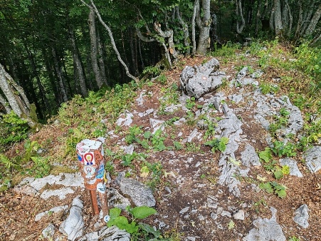 bijela kosa najava izleta