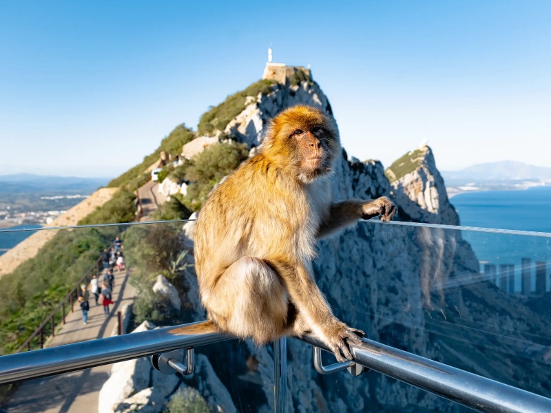 Gibraltar i Andaluzija